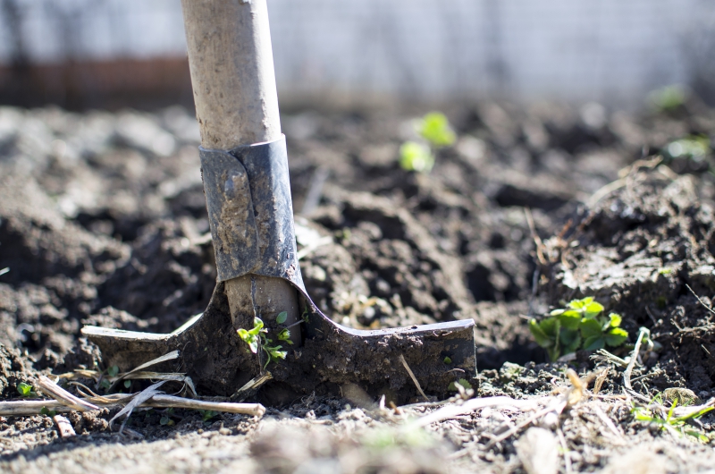 jardinerie-BAGNOLS EN FORET-min_equipment-2047314