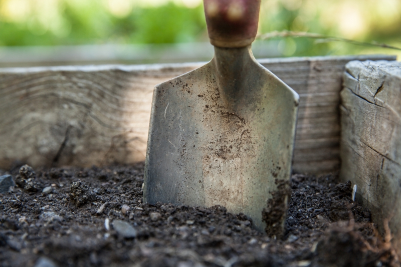 jardinerie-BAGNOLS EN FORET-min_garden-1176406